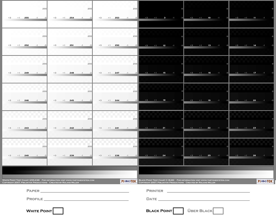 Roland-Miller-White_Black_Point_Target